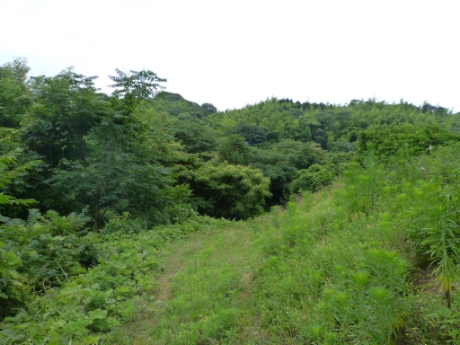 画像30